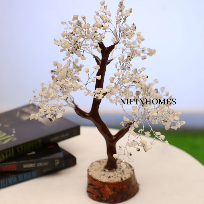 Spotted White | Crystal Flower Plant - NiftyHomes